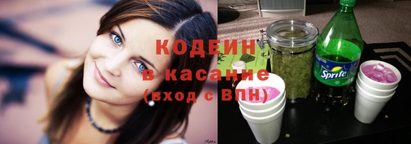 гашик Верея