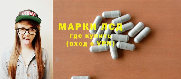 гашик Верея
