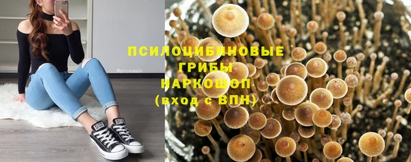 гашик Верея
